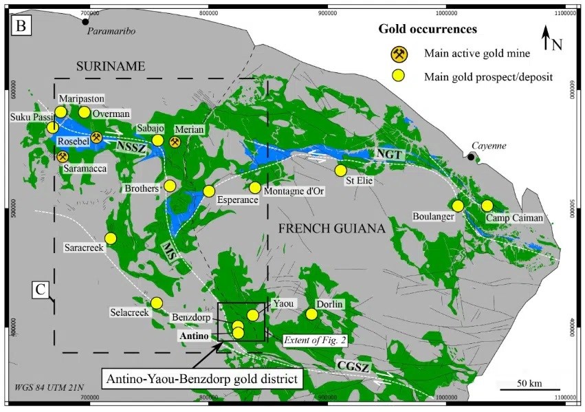 Phát hiện mỏ vàng chất lượng cao khổng lồ nằm sâu trong một khu rừng mưa - ảnh 1