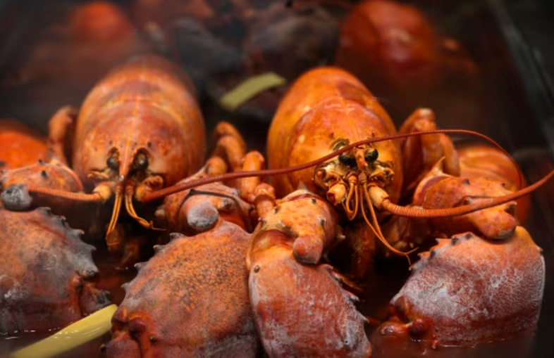 Xe tải chở tôm hùm trị giá 10 tỷ đồng bị trộm - ảnh 1