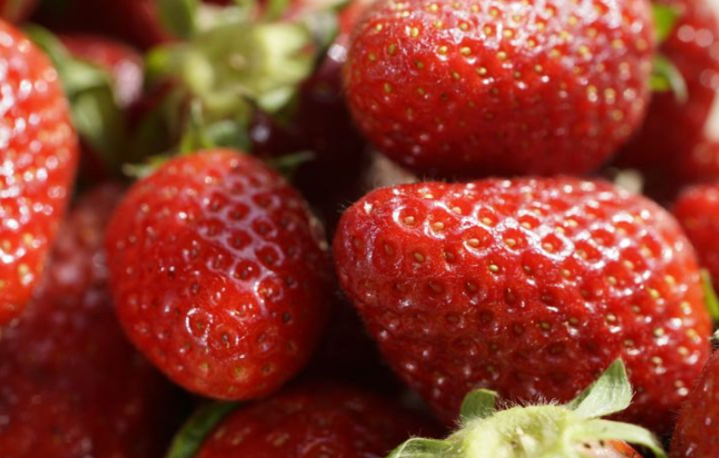 Nghịch lý tại nền kinh tế lớn thứ 4 châu Á: Người dân phải mua dâu với giá đắt đỏ, nông trại lại vứt bỏ hàng trăm kg/ngày - ảnh 1