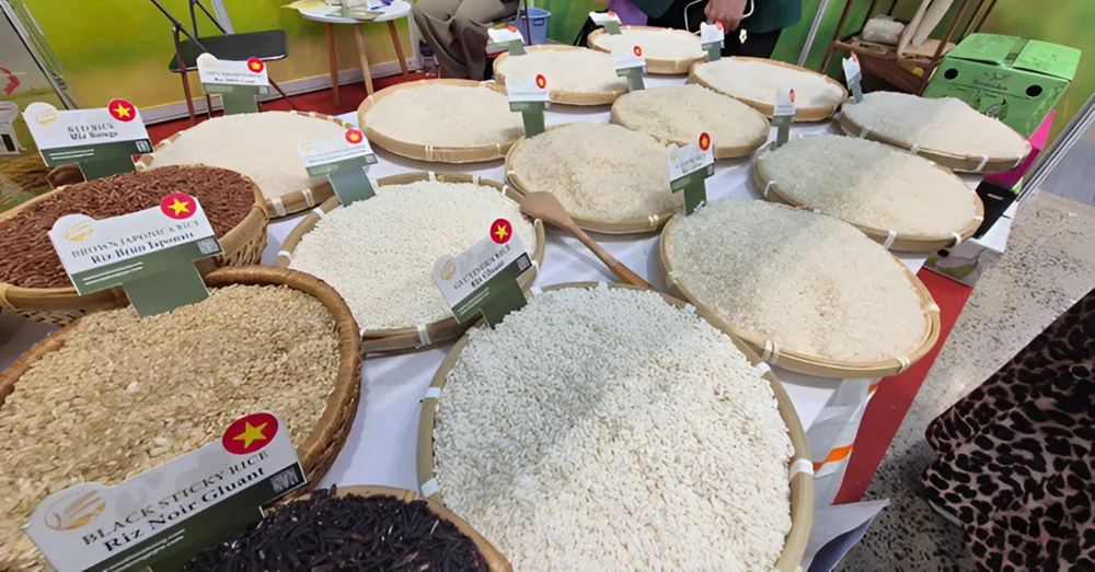 Nước mua gạo Việt nhiều nhất thế giới tăng thuế lên 35%, giảm mạnh nhập khẩu: Việt Nam thiệt đơn thiệt kép - ảnh 2