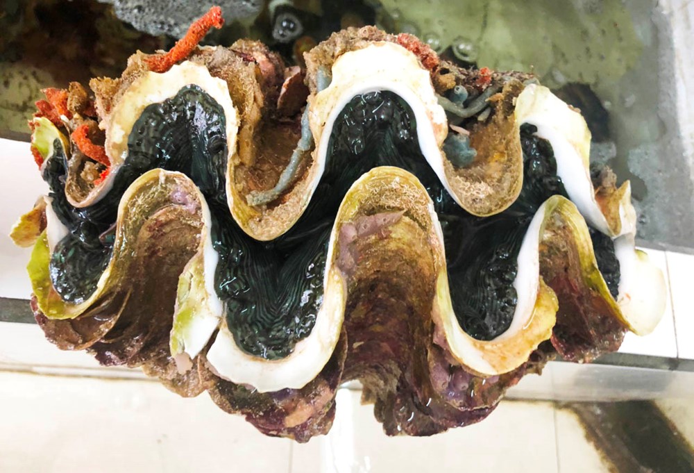 Cách Phú Quốc không xa có một nơi được ví như 'Hạ Long của phương Nam', đẹp đến mức siêu mẫu nổi tiếng phải thốt lên 'khó diễn tả' - ảnh 5