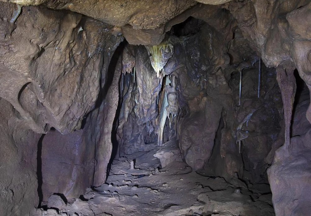 Phát hiện quan trọng làm thay đổi lịch sử trong hang đá bị niêm phong 40.000 năm - ảnh 2