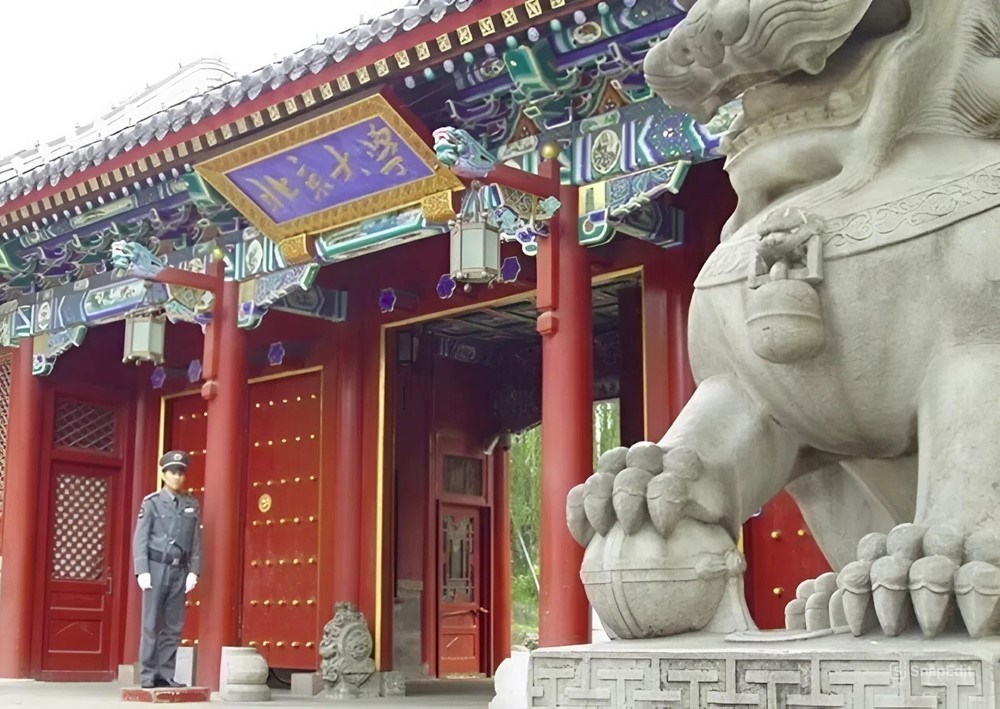 Nữ Tiến sĩ ngành Hóa học sinh năm 1995 từ bỏ công việc mơ ước tại ĐH danh tiếng thế giới để về nước làm giảng viên - ảnh 2