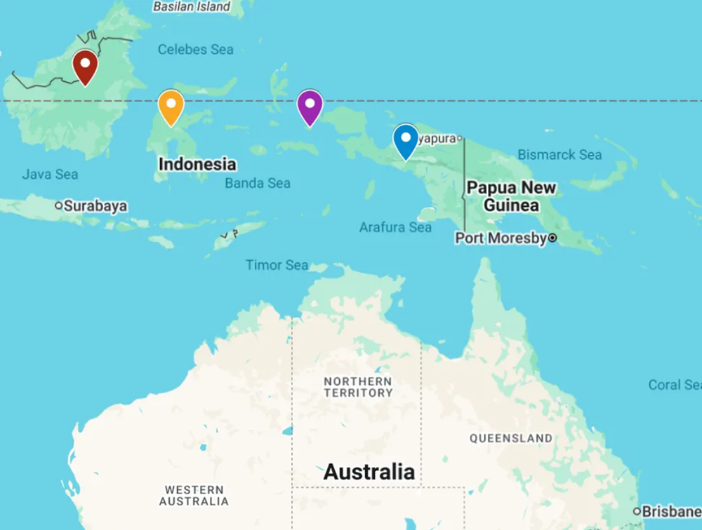 Quốc gia Đông Nam Á phát hiện bức tranh khắc đá cổ nhất thế giới trong một hang động - ảnh 3