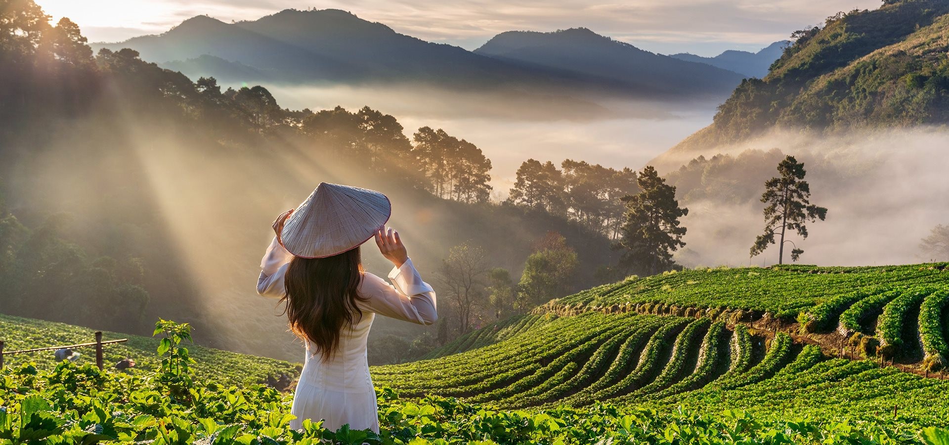 TS Phạm Hà: Di sản, văn hóa, phát triển bền vững là 'chìa khóa vàng' của du lịch Việt Nam - ảnh 10