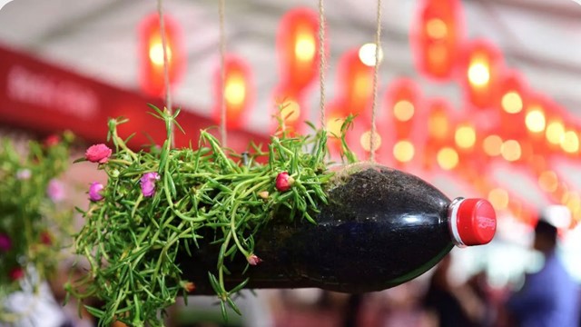 Nguyên nhân Coca-Cola bị chỉ trích nặng nề và kêu gọi tẩy chay