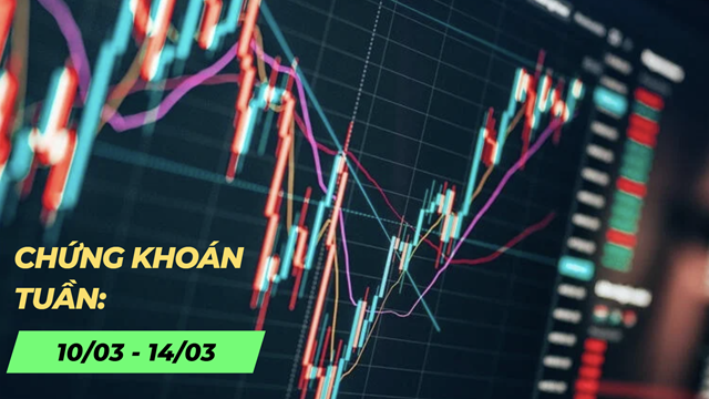 Chứng khoán tuần 10/3-14/3: Lực cầu chững lại, VN-Index liên tục giằng co và phân hóa