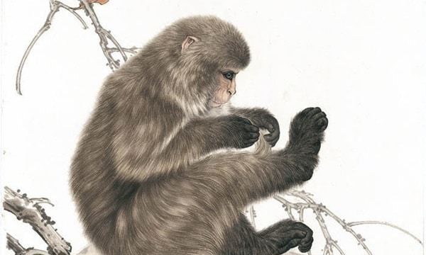 Tử vi tháng 8/2025: Con giáp nào tài lộc hanh thông, tình duyên rực rỡ?