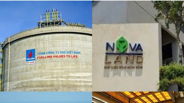 Điểm tin doanh nghiệp: Doanh nghiệp lãi lớn, hộ chăn nuôi chật vật giữa tâm dịch