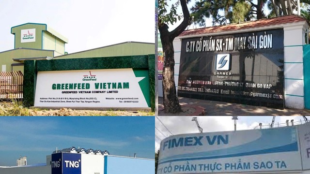 Điểm tin doanh nghiệp: TNG vượt kỷ lục doanh thu, GreenFeed lãi 6 tháng tăng 152%