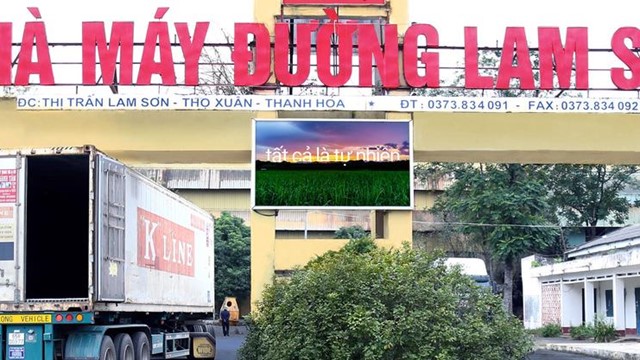 Mía đường Lam Sơn chốt chi cổ tức năm 2024-2025 tổng tỷ lệ 10%