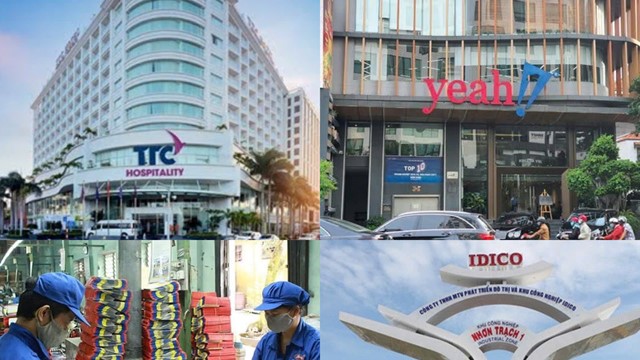 Điểm tin doanh nghiệp: YeaH1 tăng vốn MangoPlus, Pin Hà Nội vẫn giữ cổ tức cao