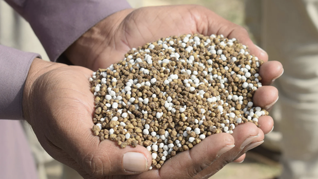 Triển vọng ngành phân bón 2026: “Gieo hạt tốt, gặt mùa vàng” nhờ cú hích thuế VAT và xuất khẩu