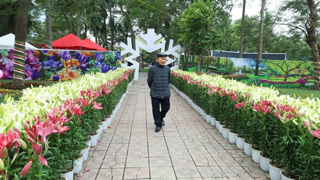 Hơn 60.000 gốc hoa được trưng bày tại "Hà Nội miền hoa - Flower Land 2023"