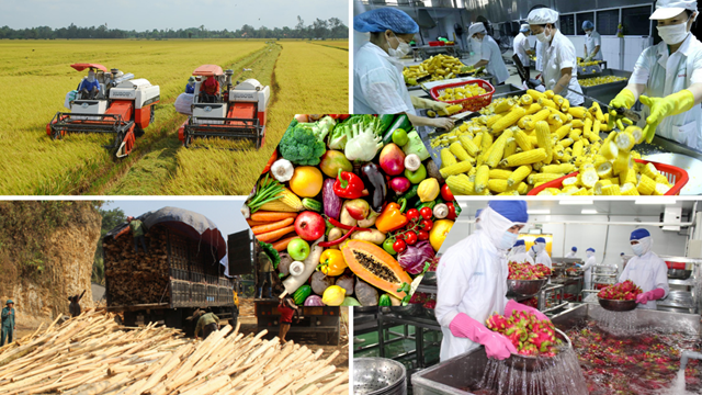 Xuất khẩu nông sản năm 2023 vượt mốc 53 tỷ USD