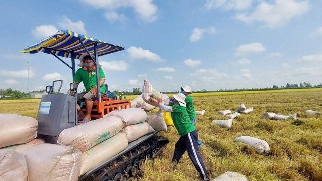 Ngành nông nghiệp tăng trưởng cao nhất trong 1 thập kỷ