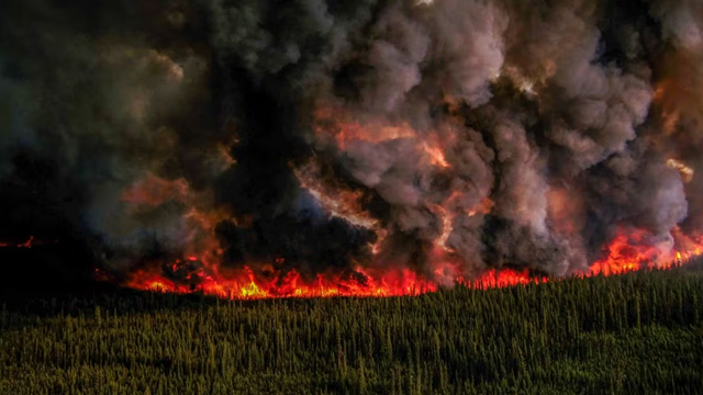 Cháy rừng tại Canada khủng khiếp đến mức nào?