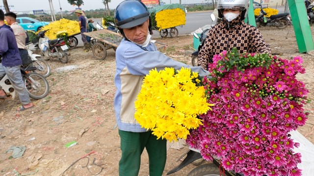 Huyện Mê Linh: Chợ hoa cúc nhộn nhịp trước rằm tháng Giêng