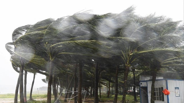 Siêu bão Yagi ‘càn quét’ phía Nam Trung Quốc: Sức gió khoảng 245km/h, mất điện hàng loạt, xe ô tô bị lật ở khắp nơi