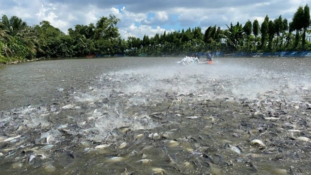 Việt Nam sở hữu 'kho báu dưới nước' được 2/3 thế giới săn đón, thu về 1,5 tỷ đô chỉ trong 9 tháng đầu năm: Mỹ, Trung Quốc, Thái Lan thi nhau chốt đơn