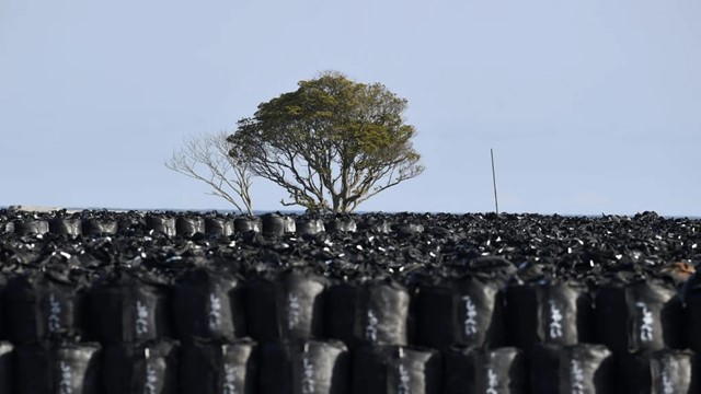 Nhật Bản rải đất nhiễm xạ từ Fukushima ngay tại Văn phòng Thủ tướng để chứng minh độ an toàn