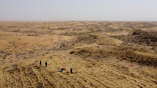 Láng giềng Việt Nam hoàn thành ‘lá chắn xanh’ dài gần 2.000km kết nối 3 sa mạc, kiểm soát diện tích lên tới 94.700km2