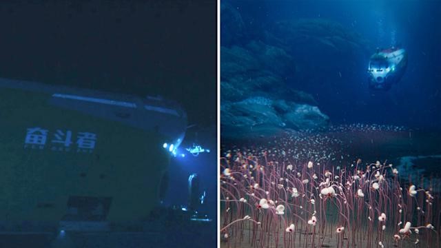 Phát hiện quần thể sinh vật sống khổng lồ ở nơi sâu nhất thế giới, gây chấn động giới khoa học