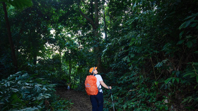 Sở Du lịch Ninh Bình ra công văn, gửi khuyến cáo đặc biệt đến toàn bộ du khách