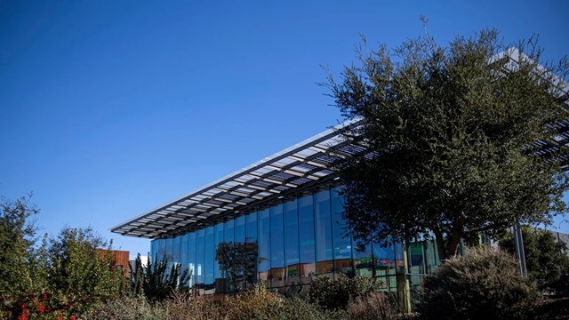 Bàng hoàng: Kỹ sư phần mềm 35 tuổi đột tử tại văn phòng Microsoft 