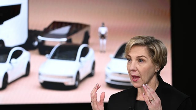 Chủ tịch Tesla khẳng định chỉ Elon Musk mới đủ sức lèo lái công ty trong 10 năm tới