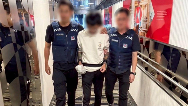 Bắt khẩn cấp tội phạm bị Interpol truy nã đỏ 