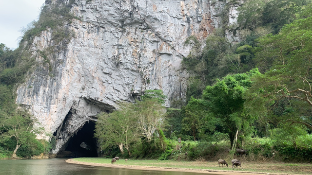 Rừng già chuyển lá, nhuộm sắc bên hồ nước ngọt ‘đẹp nhất thế giới’ của Việt Nam