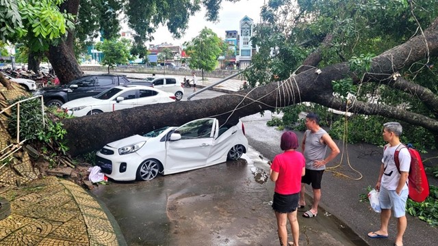 Bảo hiểm ghi nhận hơn 1.000 xe cơ giới bị tổn thất do Bão Yagi