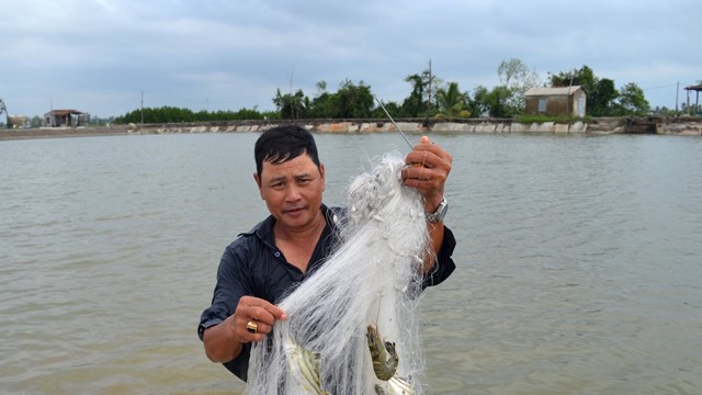 Việt Nam sắp đón đoàn kiểm tra của EU trong lĩnh vực nuôi trồng thủy sản