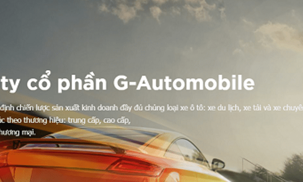  G-Automobile báo lãi 19 tỷ đồng, gấp 67 lần năm trước