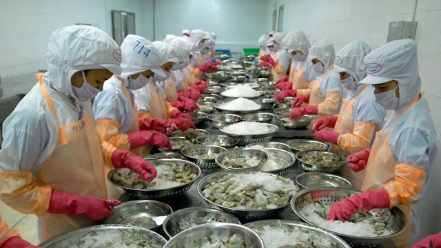Xuất khẩu tôm Việt Nam quý I/2025 tăng mạnh 37%, đạt gần 1 tỷ USD