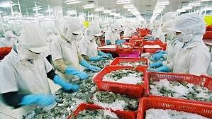 Xuất khẩu thủy sản tăng mạnh, nhưng vẫn đối mặt thách thức từ thị trường Mỹ