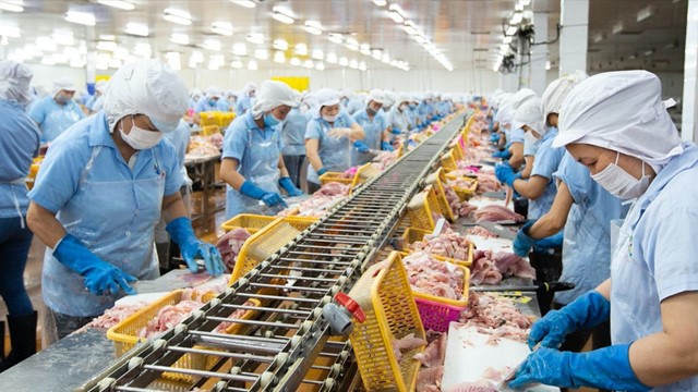 Con trai Tổng giám đốc Navico bị bán giải chấp hơn 4,3 triệu cổ phiếu ANV chỉ trong một tháng