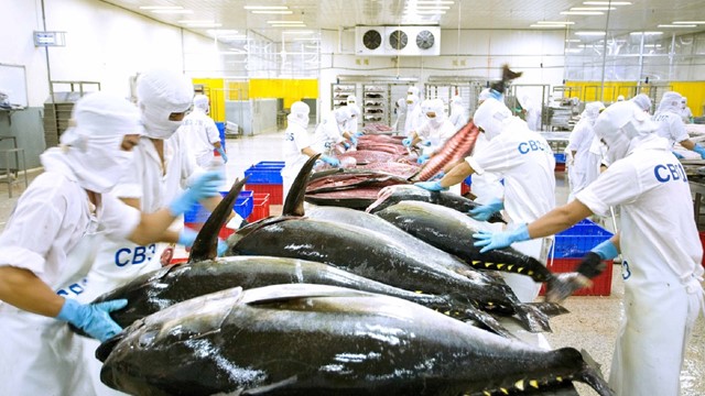 Xuất khẩu cá ngừ Việt Nam tăng trưởng mạnh tại các thị trường Halal
