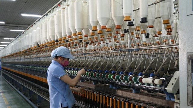 Vinatex: Dự trình lãi 910 tỷ đồng trong năm 2025, không chia cổ tức