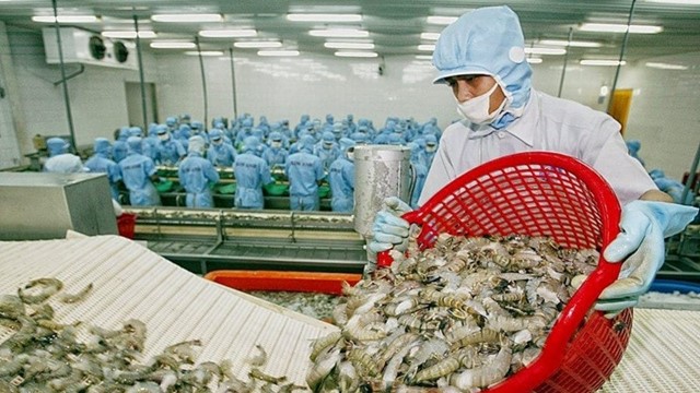 Xuất khẩu tôm Việt Nam vượt 1,3 tỷ USD nhờ lực đẩy từ các thị trường lớn