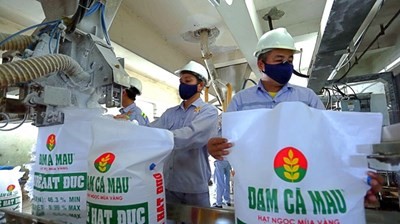 Đạm Cà Mau sắp chi cổ tức năm 2024 bằng tiền mặt 20%