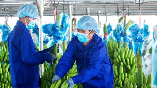 Hoàng Anh Gia Lai của bầu Đức chính thức thoát lỗ lũy kế sau gần 5 năm