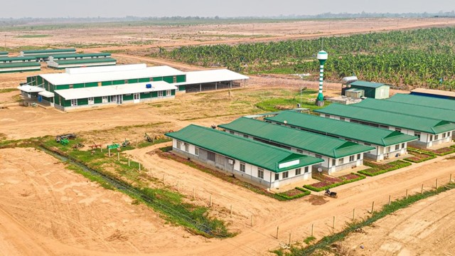 HAGL Agrico lỗ quý thứ 17 liên tiếp, lỗ lũy kế vượt 9.500 tỷ đồng