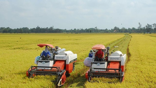 Lương thực A An được chấp thuận trở thành công ty đại chúng