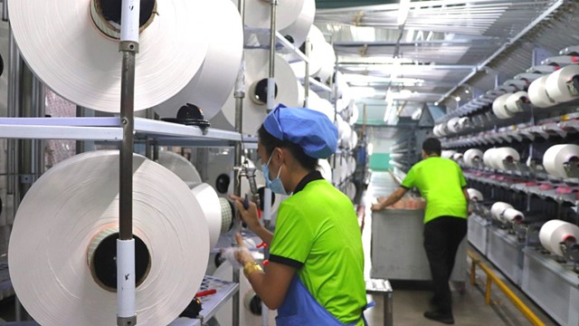 Sợi Thế Kỷ dự kiến phát hành hơn 43 triệu cổ phiếu để trả cổ tức năm 2024