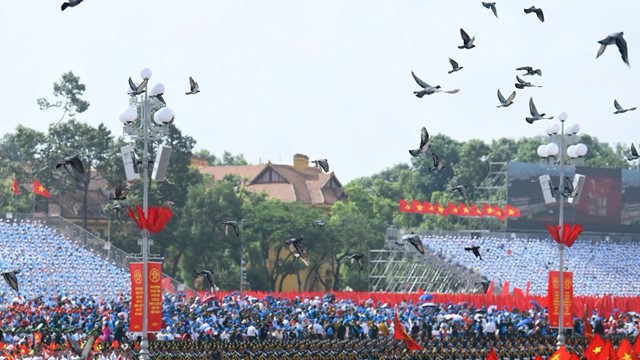 Hơn 800 chim bồ câu tung cánh giữa Quảng trường Ba Đình mừng Đại lễ A80