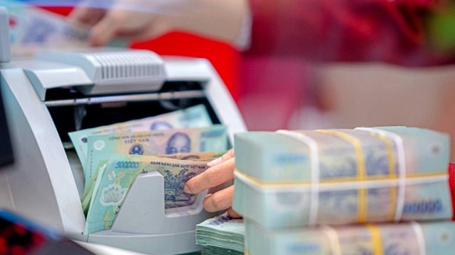 Đầu tư I.P.A muốn phát hành 50 triệu cổ phiếu riêng lẻ