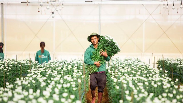 PAN Farm báo lãi bán niên 265 tỷ đồng, nợ vay tăng mạnh