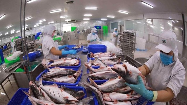 Xuất khẩu cá tra vượt mốc 1,2 tỷ USD, giá dự báo tăng từ tháng 9